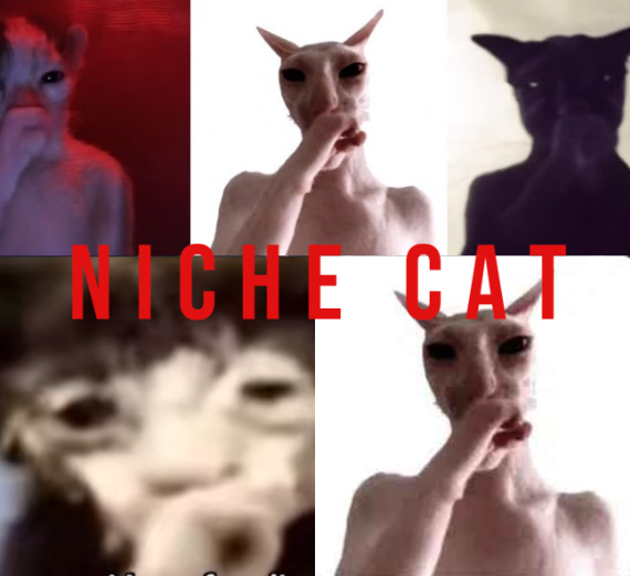 Vexcantdev's tweet photo. The niche cat trend on TikTok is booming — people are racking up millions of views on cat content, and even cat-specific growth niches (like “cat education” or “cat design”) can blow up fast.

https://t.co/I2ZDE7myHr https://t.co/73qZ1hVYxj
