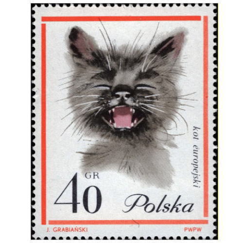 kitte_museum's tweet image. 今日11月25日は「いい(11)笑顔＝にっこり(25)」の語呂合せで、「いい笑顔の日」だそうです。
紹介する切手は「笑う猫」(1964年発行、ポーランド)で、ネコが本当に笑うかどうかわかりませんが、いい笑顔をしています。