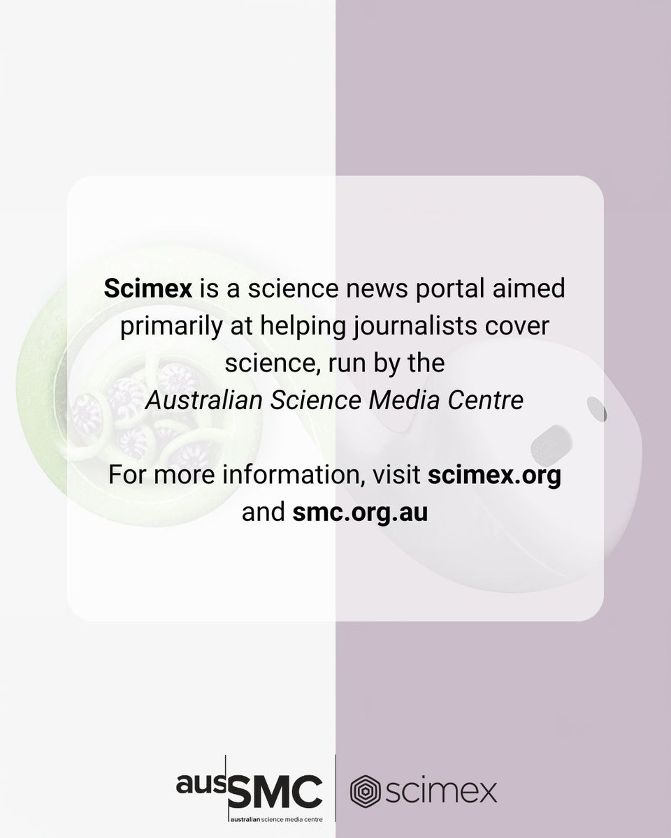 AusSMC's tweet image. 🚶 People with the highest levels of physical activity at midlife and late life have the best chance of avoiding dementia, say US researchers

✨Follow the link for more information on this story✨
buff.ly/cicUx68 

#science #sciencenews #knowledge #sciencefacts #dementia