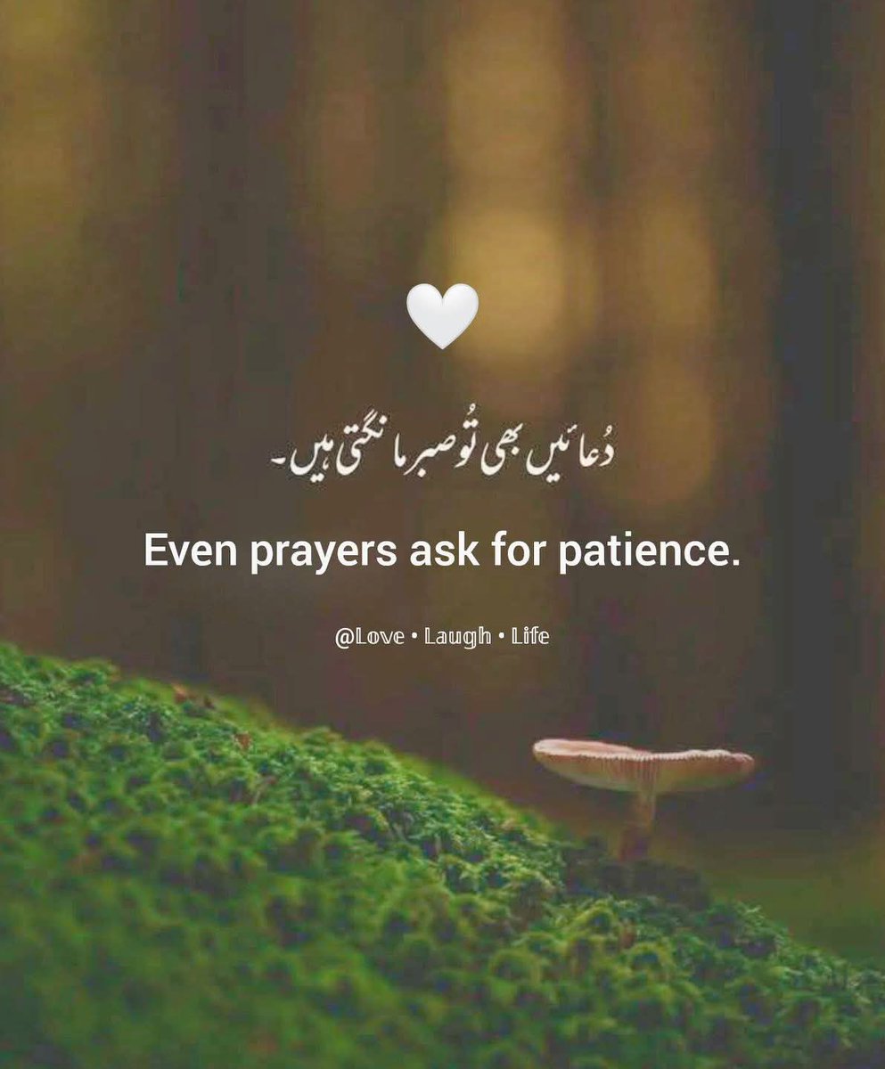 Ayesha🤍 (@ayesha4x) on Twitter photo 