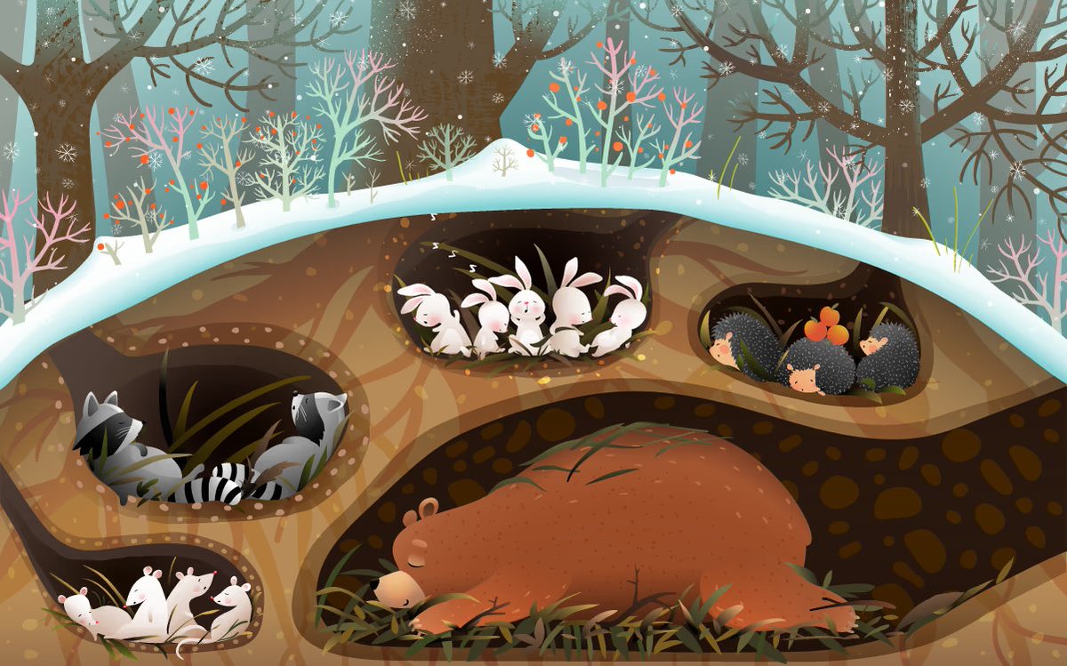 나는 전생에 분명 겨울잠을 자는 동물이였을꺼야.. 
이렇지않고서 일케 계속 잠이 올수가 읍쒀.. 
하.. 나..설마..웅녀.. 직계인가..?