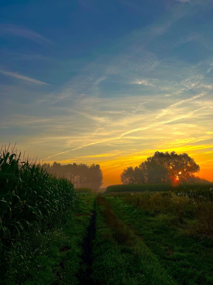 0͏0͏:0͏0͏ (@0hour0minute) on Twitter photo 