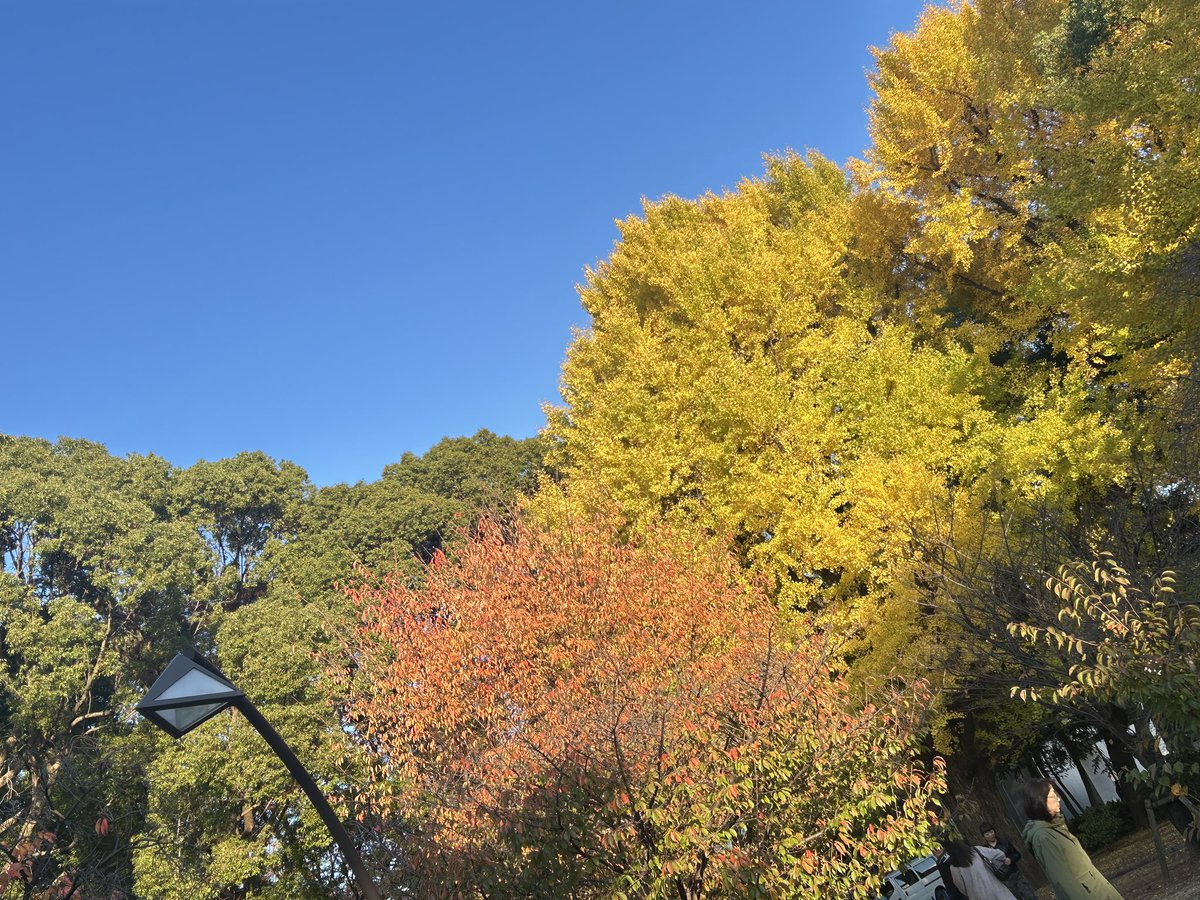 思い出たくさんの上野公園なう✿ﾟ❀.(*´▽`*)❀.ﾟ✿