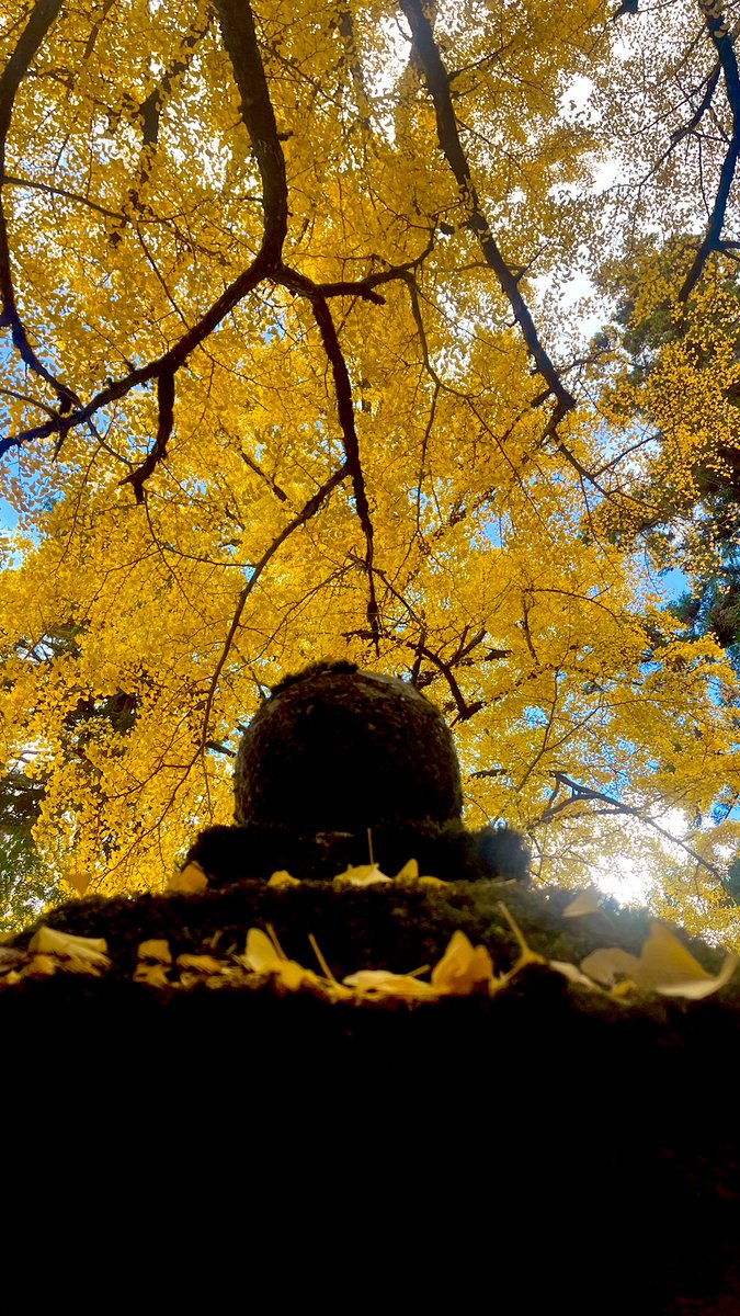 satsuki_otutuki's tweet image. 思い立ったが吉日。
ちゃんと今はもう仕事してますw