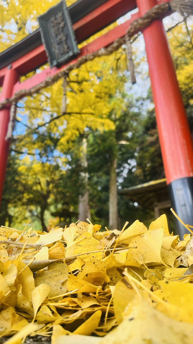 satsuki_otutuki's tweet image. 思い立ったが吉日。
ちゃんと今はもう仕事してますw