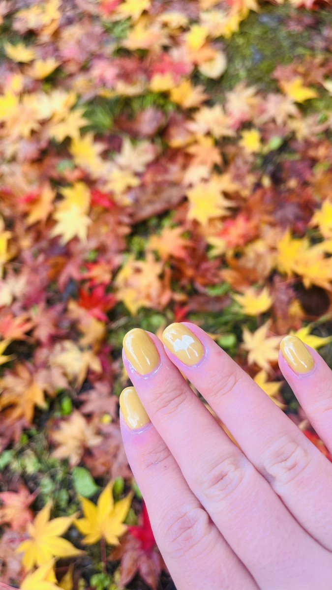 satsuki_otutuki's tweet image. 思い立ったが吉日。
ちゃんと今はもう仕事してますw