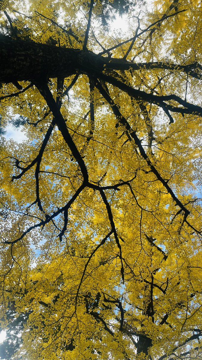 satsuki_otutuki's tweet image. 思い立ったが吉日。
ちゃんと今はもう仕事してますw