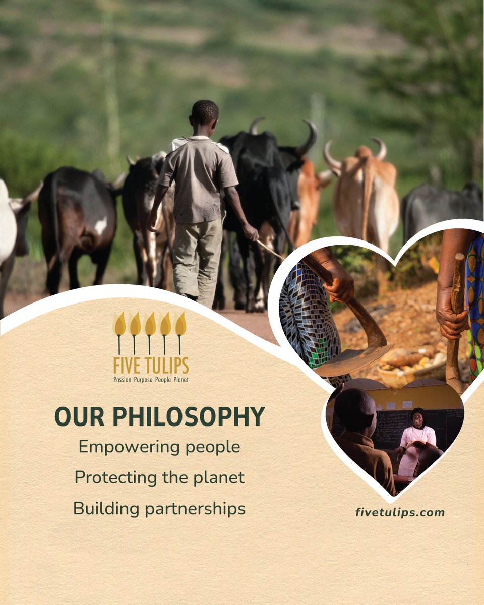 Fivetulips's tweet photo. Real change happens where people, planet &amp; partnership meet. Five Tulips drives lasting community &amp; eco impact. 👉 https://t.co/NsUm6H0QKM
 #FiveTulips #SocialImpact https://t.co/nGhGuDO3Bt