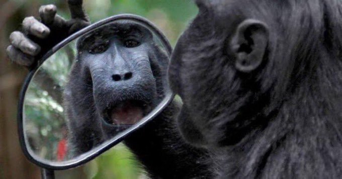 Bro cut my beard so well, damn!!