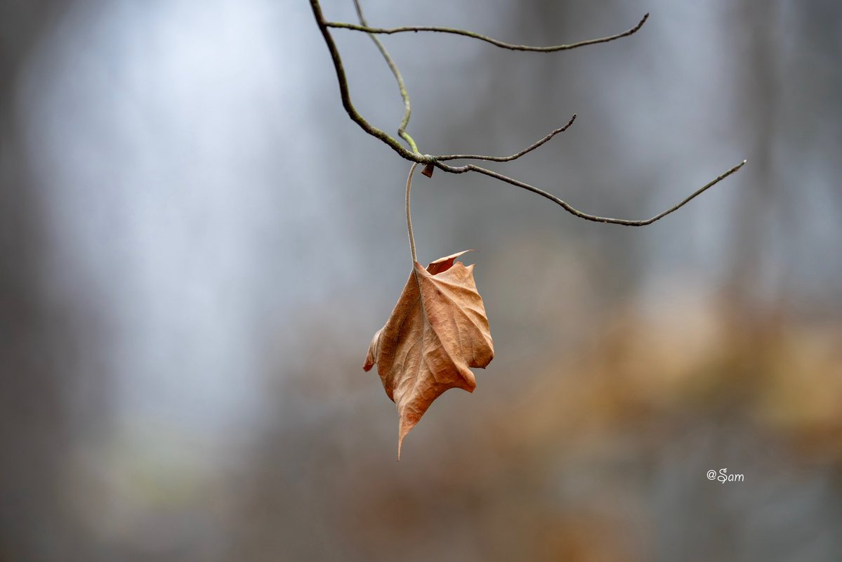 Sam2978pt's tweet image. A quiet goodbye to a passing season