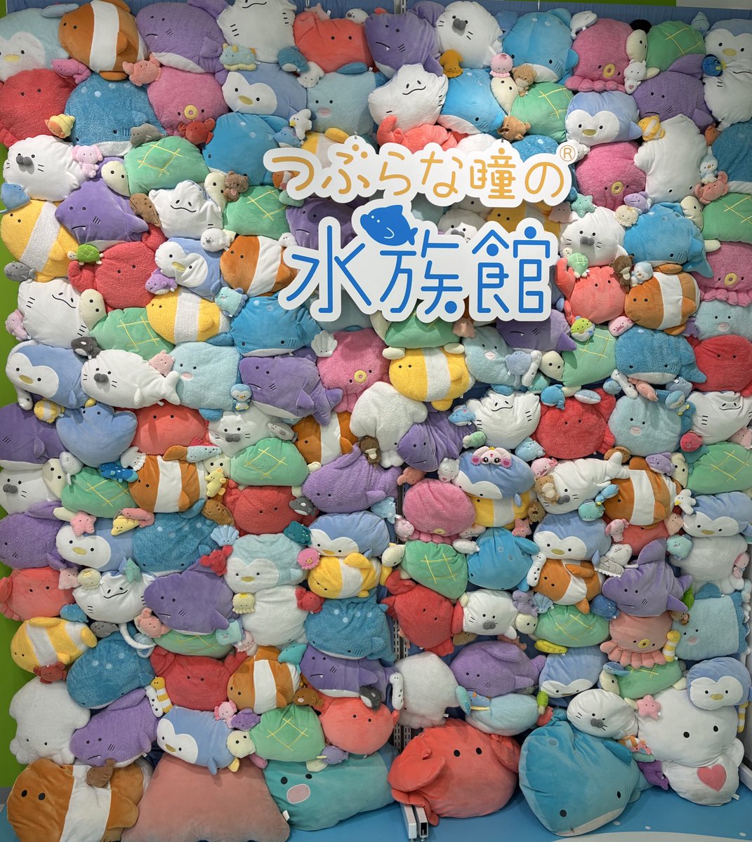 つぶらな瞳の仲間達【公式】 (@tsuburana_aqua) / Posts / X