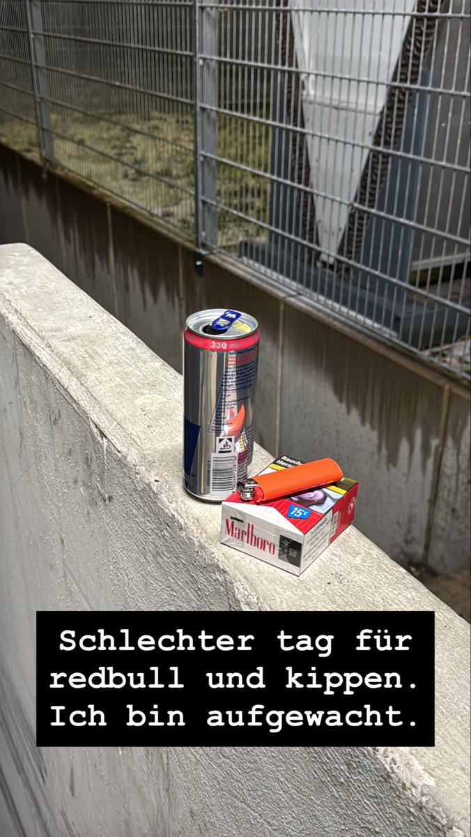 dangitshanks tweet media