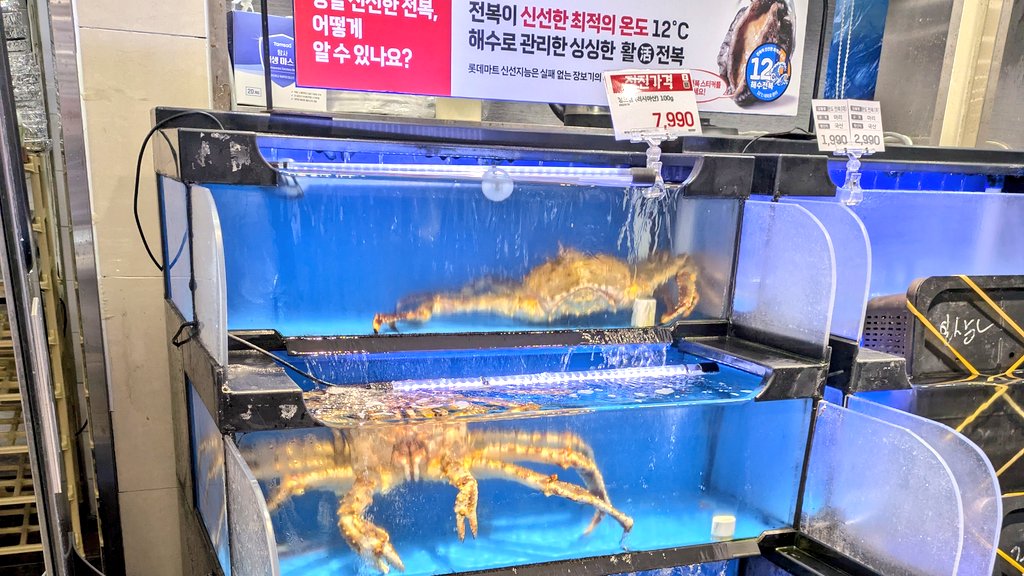 今日から1週間、キムチ食べないの韓国行チャレンジ開始します！