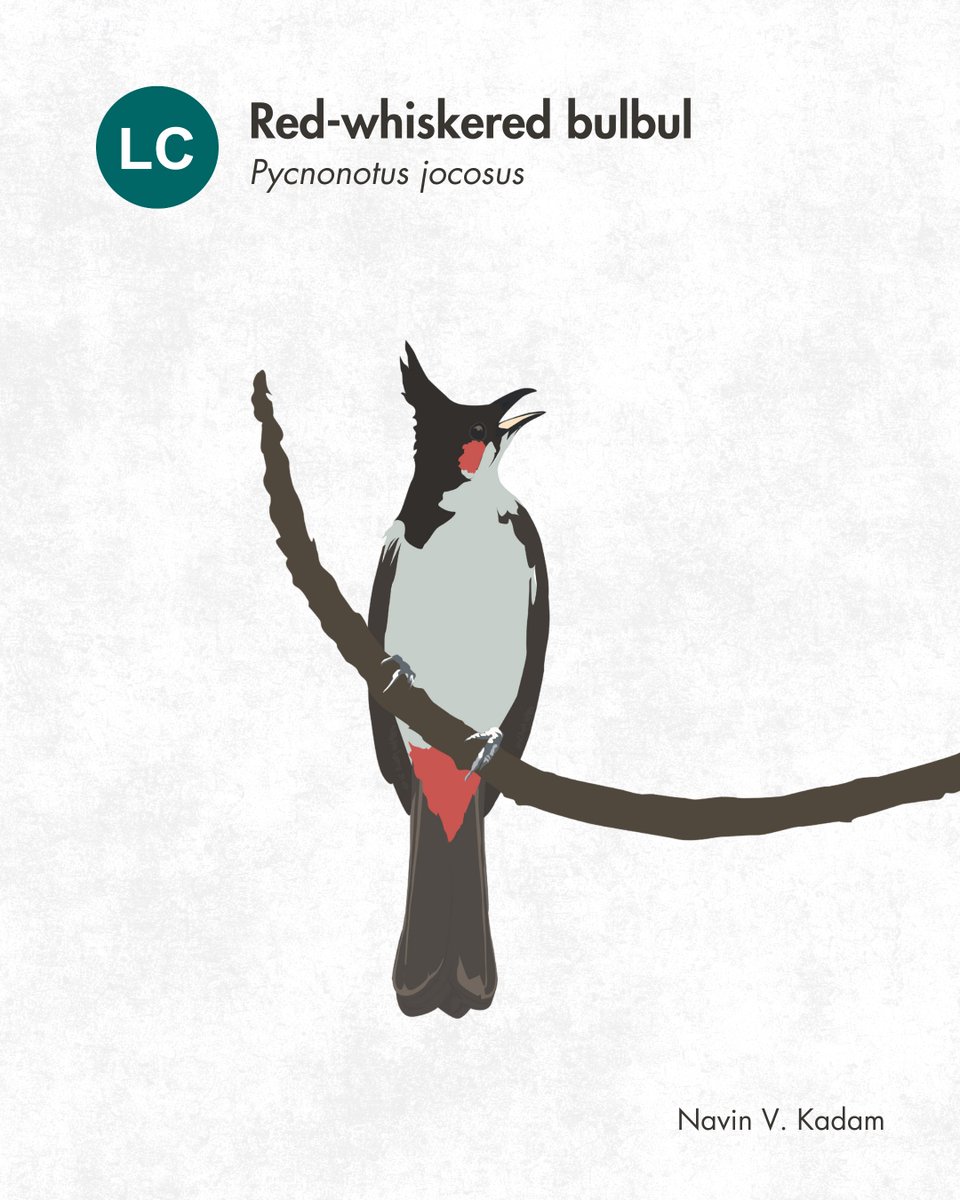 WCS-India tweet media