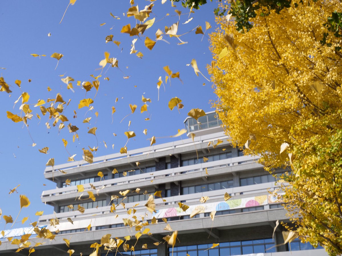 ⋱ 🎊今日は市制記念日 🎊 ⋰

本日2025年11月20日は相模原市71回目の誕生日🎂
いつもありがとうございます💐

これからも、末永くよろしくお願いします💫