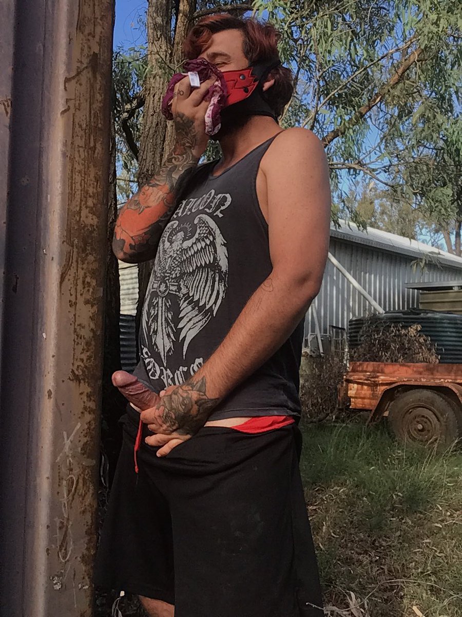Rayne the pup 🇦🇺 tweet media
