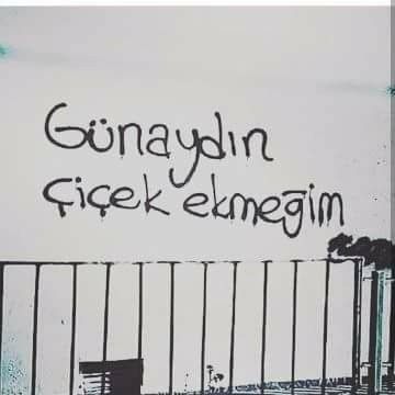 ppeluss's tweet image. GÜÜNNAAYYDIINNNN 🎉🎉
Keşke benimde çiçek ekmeğim olsa günaydin desem 🥖
#günaydin #persembe