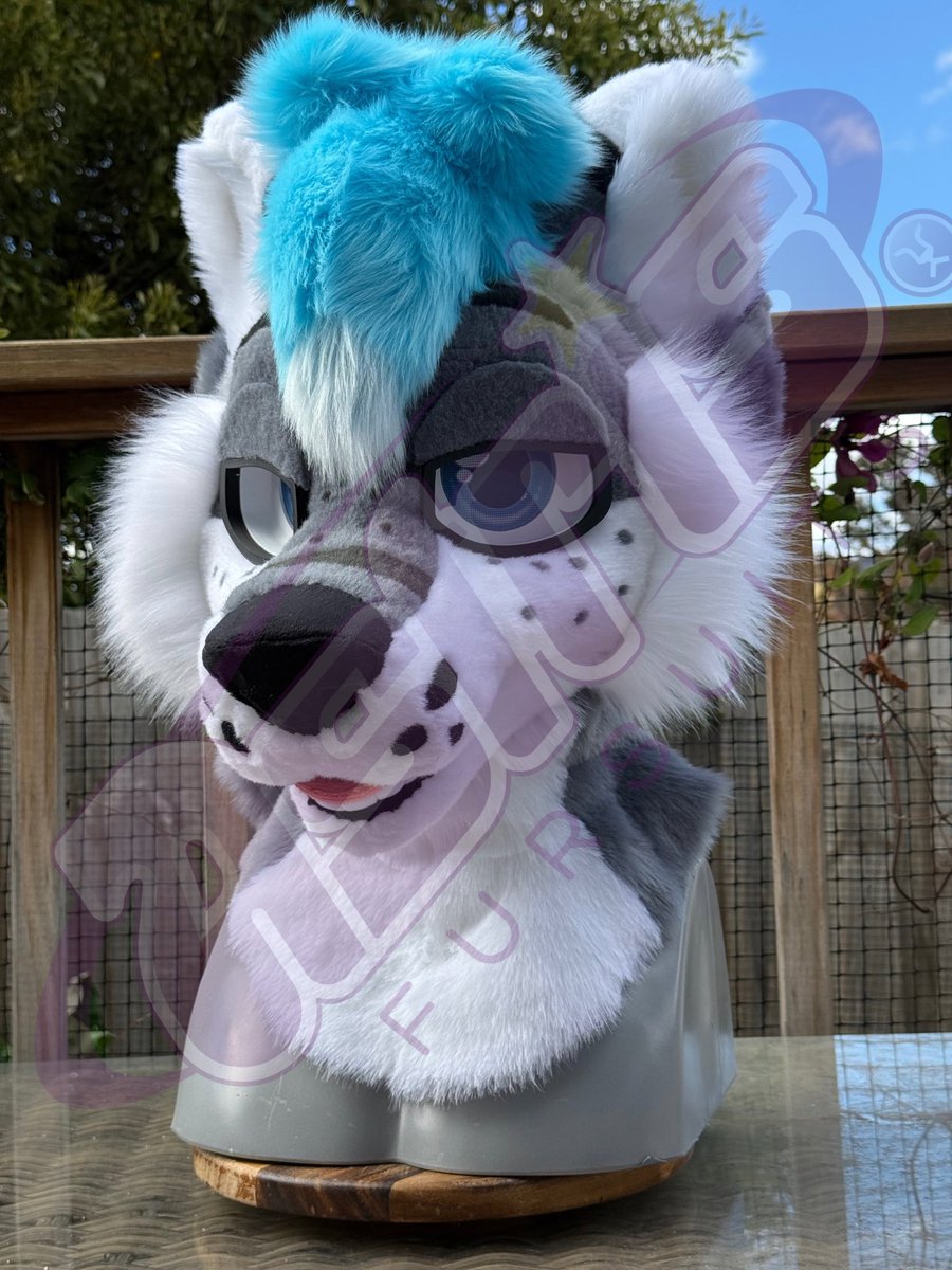 ✨💜 Astris 💜✨ 🔜FurDU 26 GOH tweet media