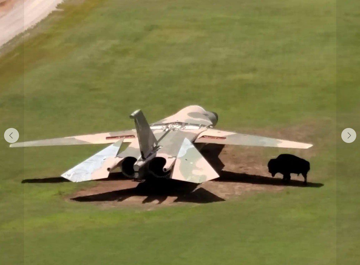 Dude...Really?... .. ...