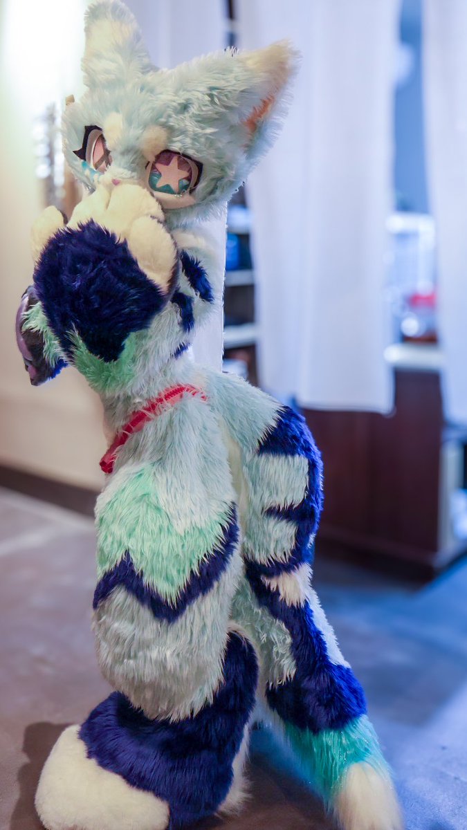 🈂️め太郎 (@same2525_taro) / Posts / X