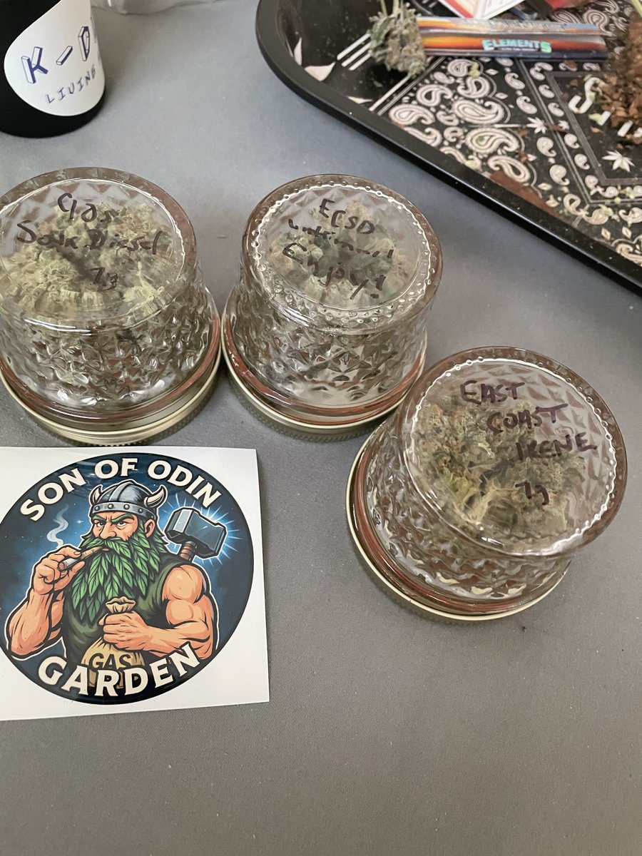 smokekillco's tweet image. Terps

@kdoglivingsoil double burger, garlic juice, fun dip
@erlterpeneur candy fumez, mad honey, purp limeade
@sonofodingarden ECSD, 90’s SD, east coast irene (@HigherGradeHerb)