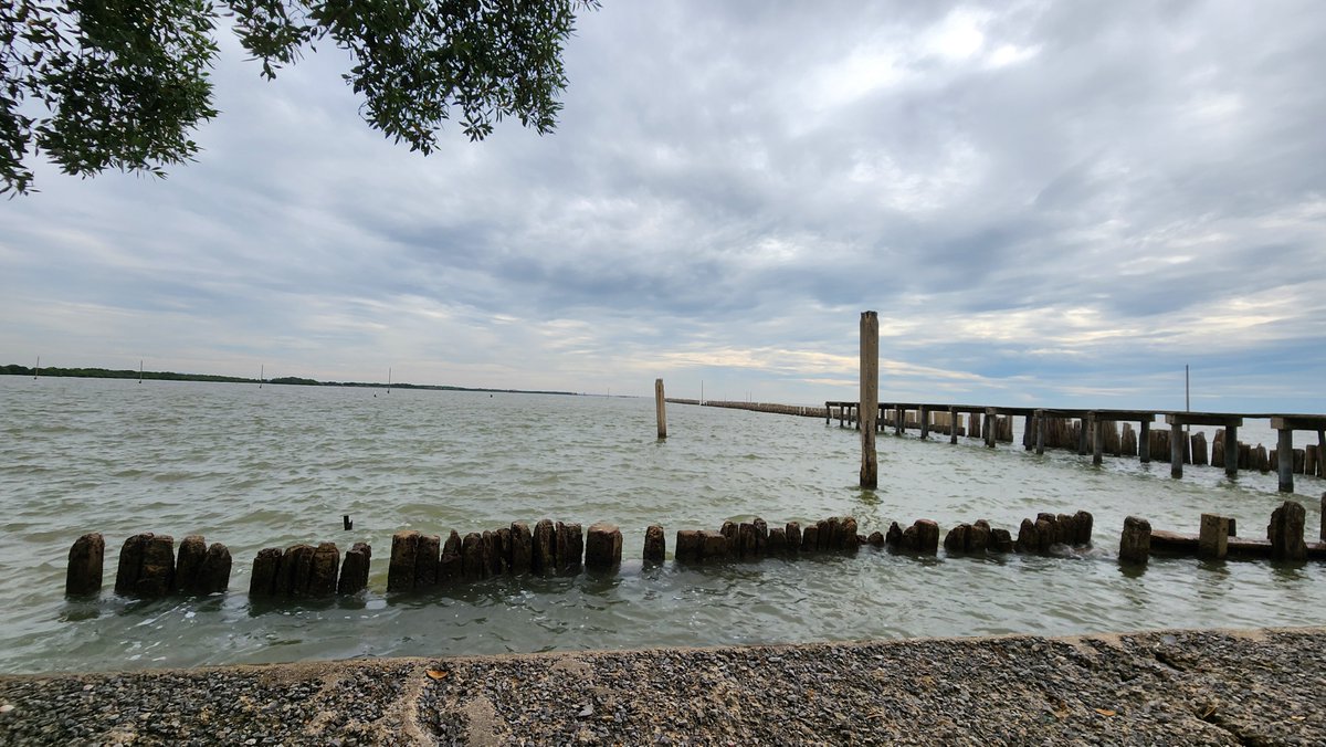 misterkwai's tweet image. Cycling - Rama 3 to Wat Khun Samut Chin and back

#Cycling #Roti #RotiMataba