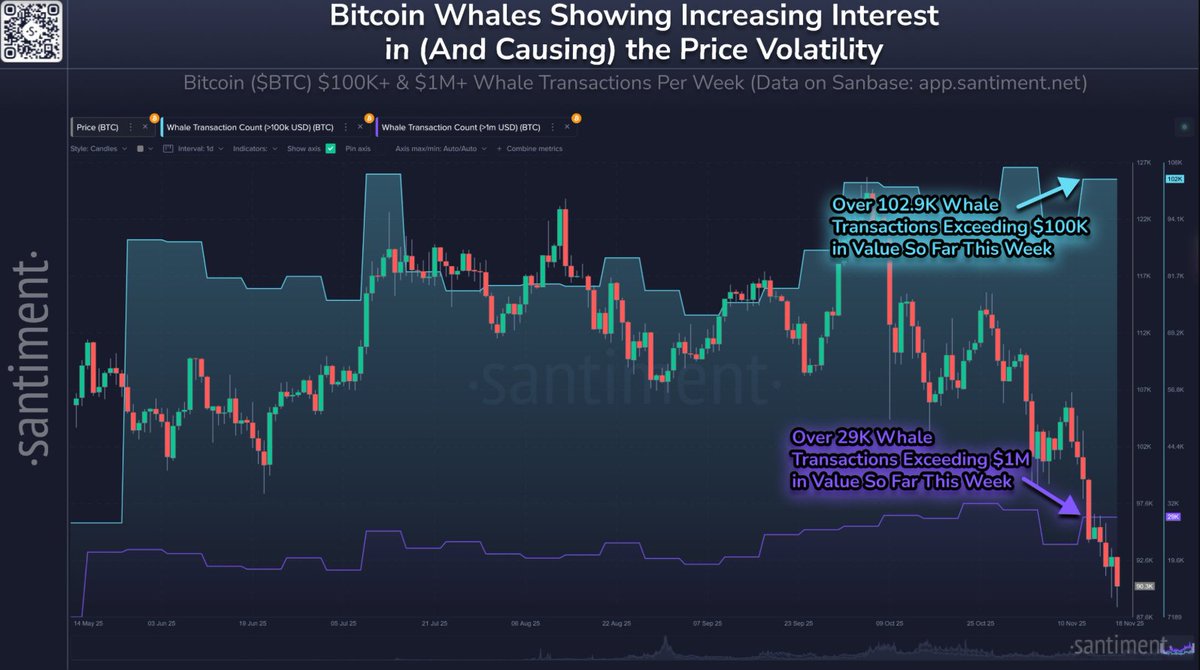 MissCrypto tweet media