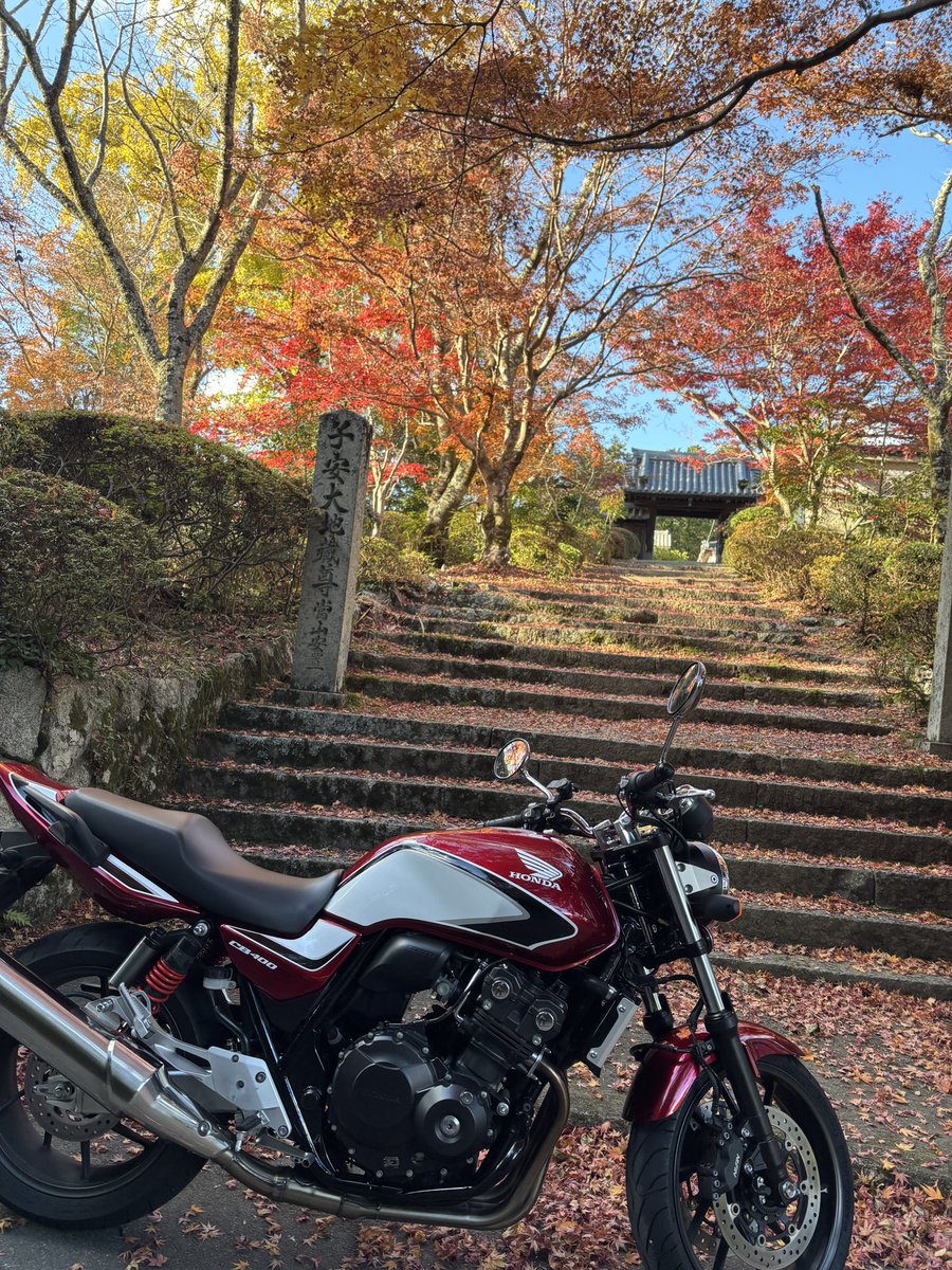 まるる (@sniisan12281) / Posts and Replies / X