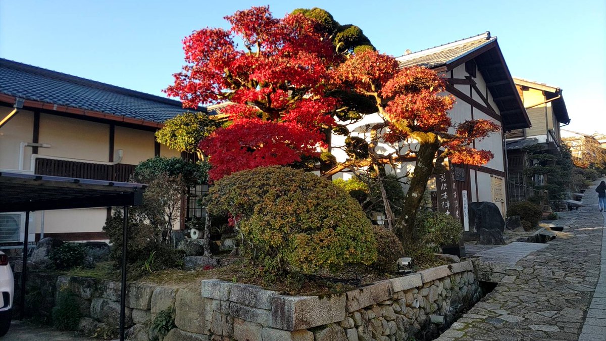SHIN696969's tweet photo. #岐阜県 #中津川市 #馬籠宿 #紅葉 #石段 #栗ソフト
昨日、仕事が終わったら…高速使って日が暮れないうちに…って中津川の馬籠宿へ、お出かけ🚘️
石段、石畳やら紅葉やら楽しんできたよ☆
展望台からは恵那山が見えたよ😀
帰りに栗のソフトクリーム🍦を頂いて帰宅💦
弾丸トラベルでした（笑） https://t.co/RpI6YMShaH