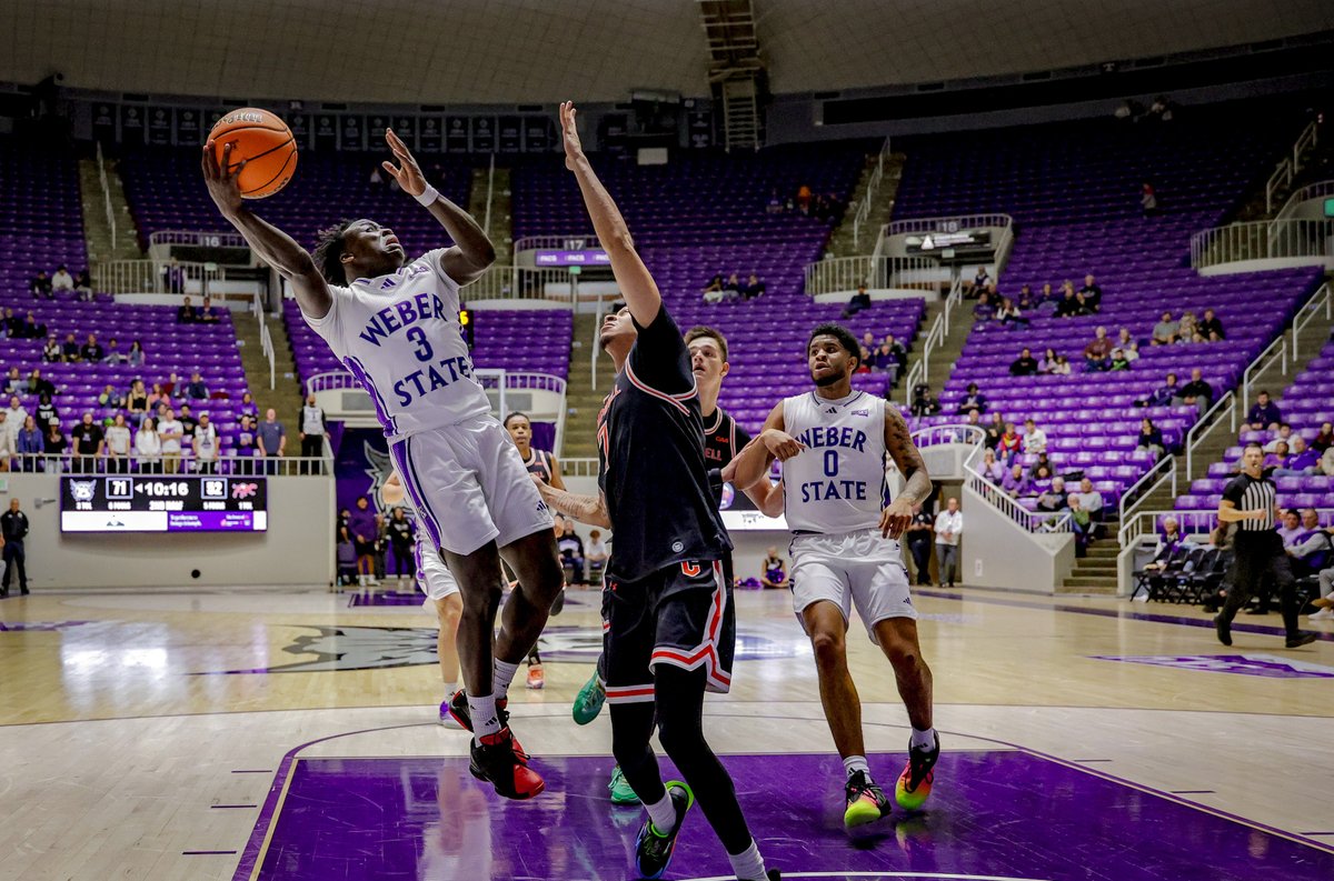 WeberStateMBB's tweet image. What a Great, Great, Great night to be a Wildcat! 

#WeAreWeber \\ #WeberStateGreat