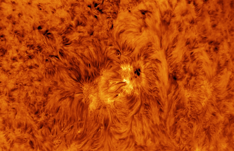 本日の太陽です。
なんか淋しくなってしまってきた太陽ですが、活動域AR4284附近です。

2025.11.20 00:17UT (09:17 JST)
200mmF12 x2.5, Daystar QuantumSE 0.28Å, ASI-174MM, Pentax MS-5 NS5000