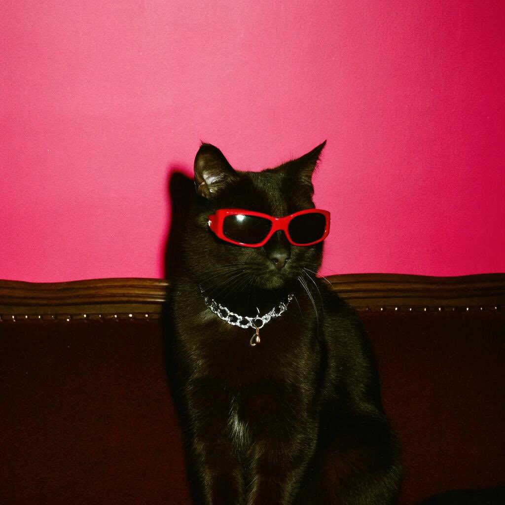 I feel like someone is cooking something behind the scene. Ape in more.