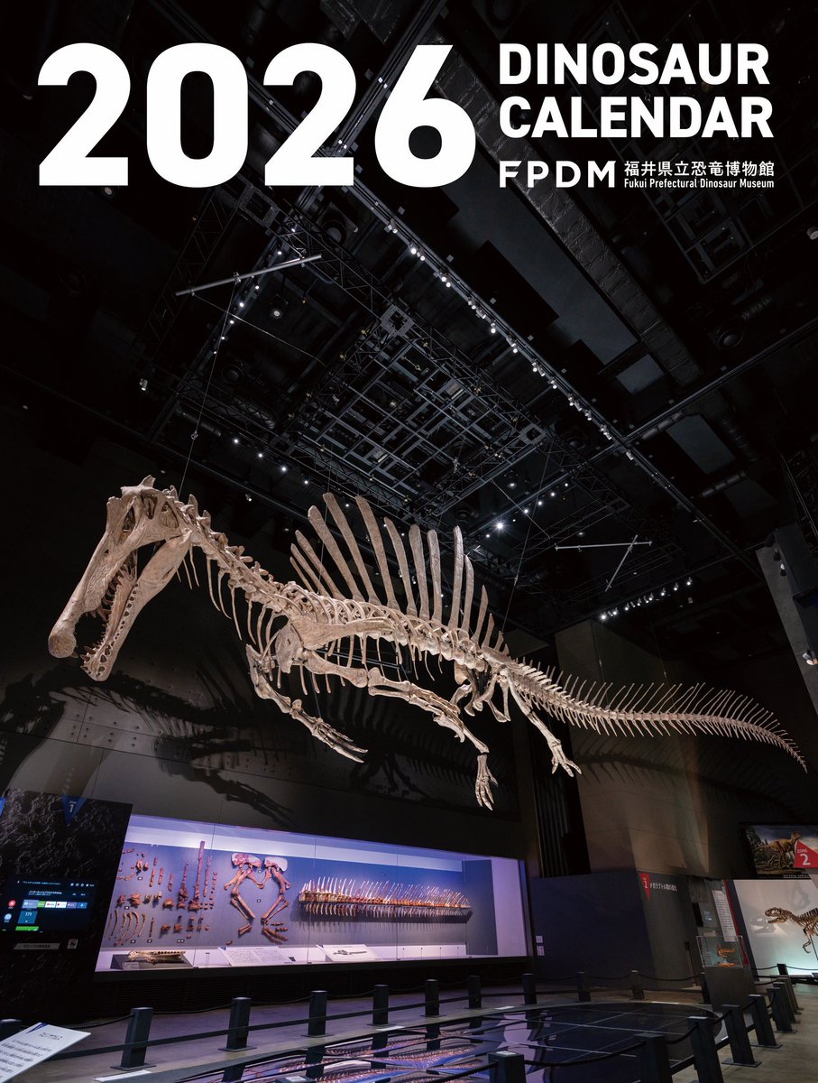 G6LbUdFacAMV137.jpg?format=jpg