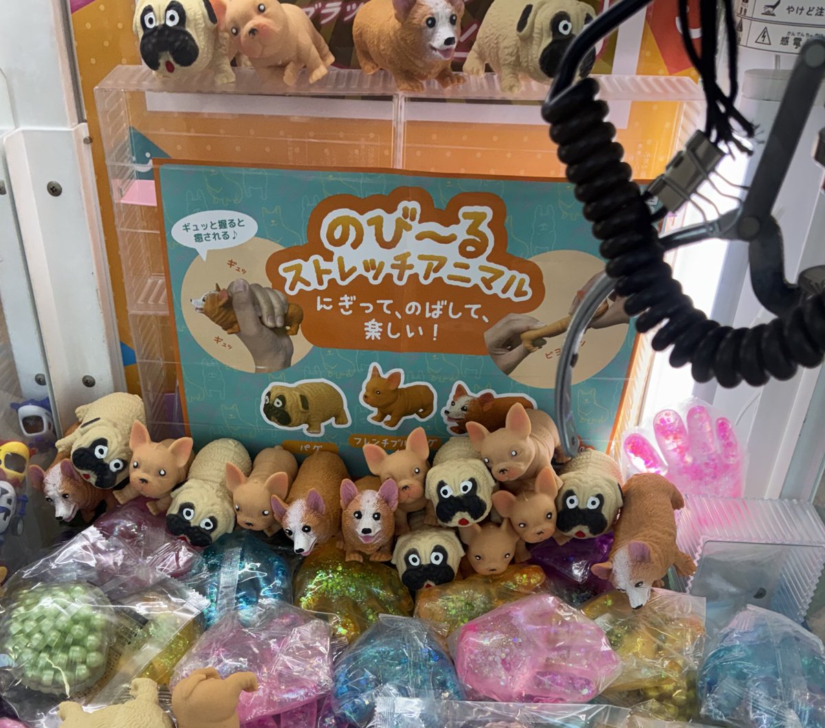 cogi613sakura's tweet photo. 🐶コーギー飼いのみなさま🐶
これ、めっちゃシュールじゃないですか！！！どなたかご家族に迎えた方いますか？
のばすってどこまで伸びるのか…
という好奇心は置いておいて、荷物が重かったため、パシャリして去りました💦 https://t.co/34yOJKkuIc
