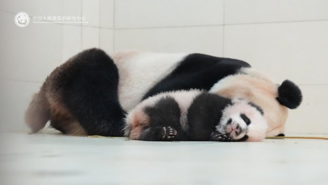 Baobao's elder daughter