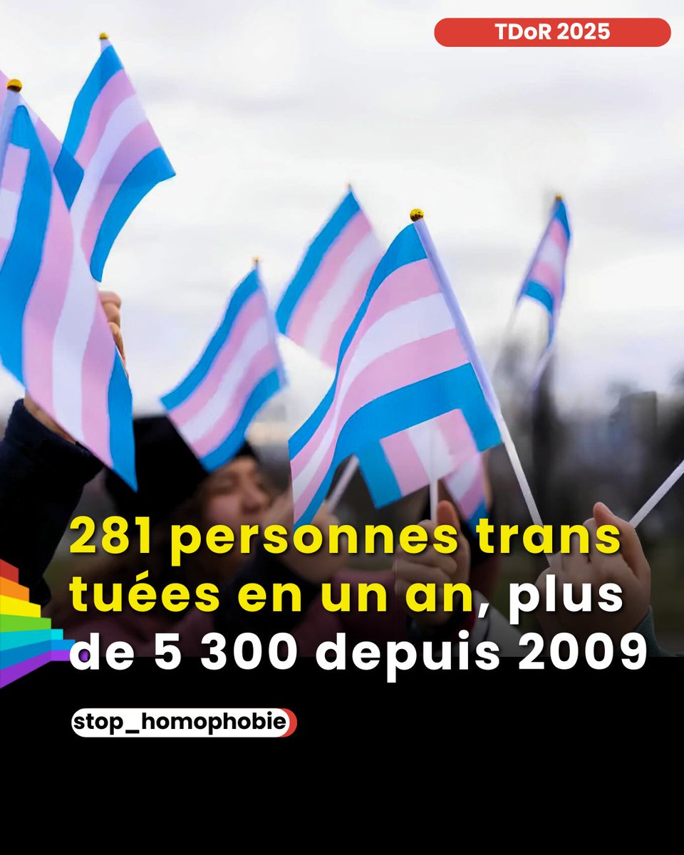 🕯 20 novembre – Trans Day of Remembrance (TDoR)

Aujourd’hui, nous honorons la mémoire des personnes trans tuées à travers le monde.

Les chiffres publiés cette année rappellent une réalité insupportable :

📉 281 personnes trans ou de genres divers ont été assassinées entre