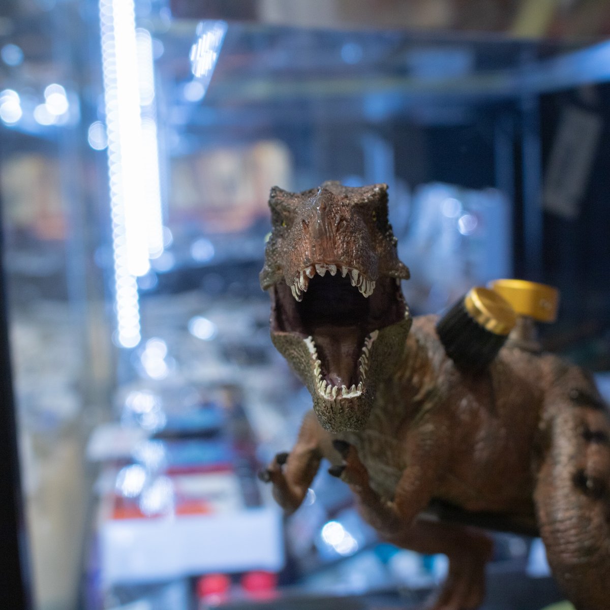 おかえりなさい❗️