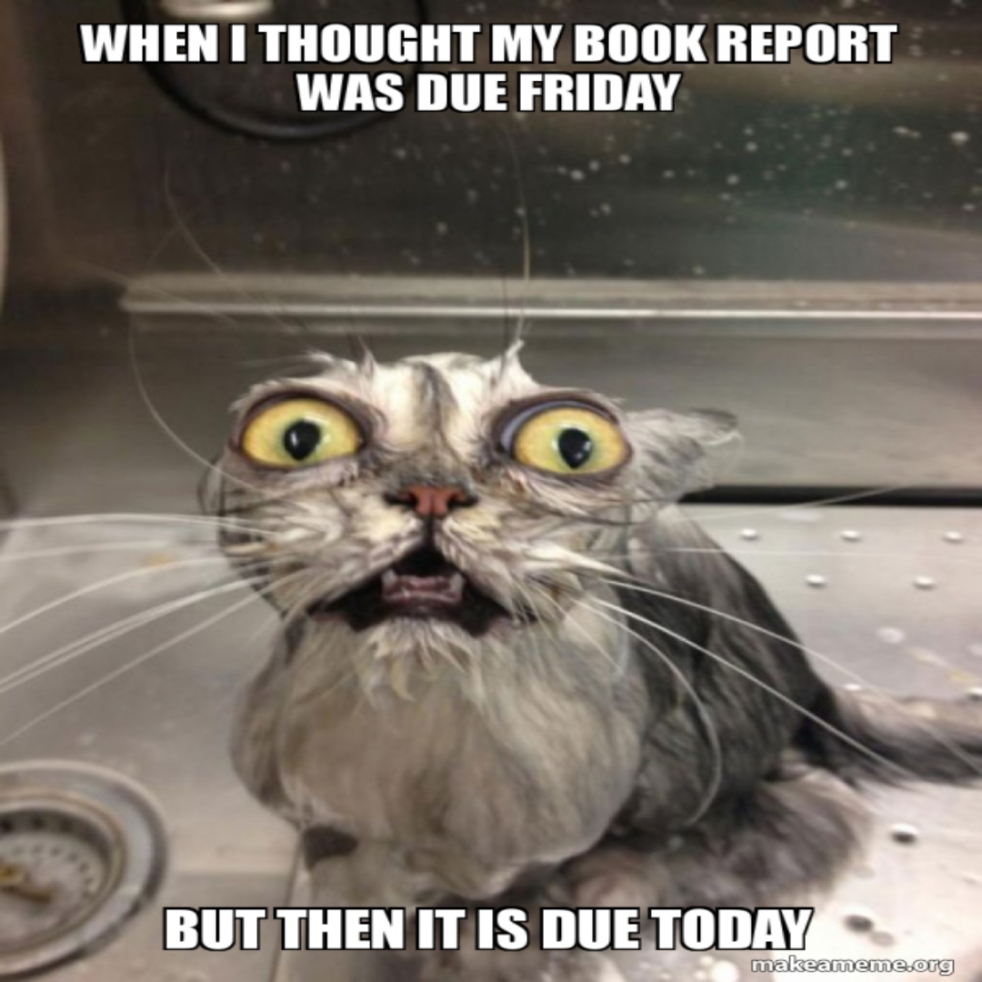 freeebooks2023's tweet image. That moment when your book report is due TODAY and suddenly you can read 300 pages in 10 minutes. 💀📚😅
.
.
.
.
#bookproblems #StudentLife #LastMinuteMagic #procrastinationnation #bookhumor #freeebooks #memes #CttoRepost