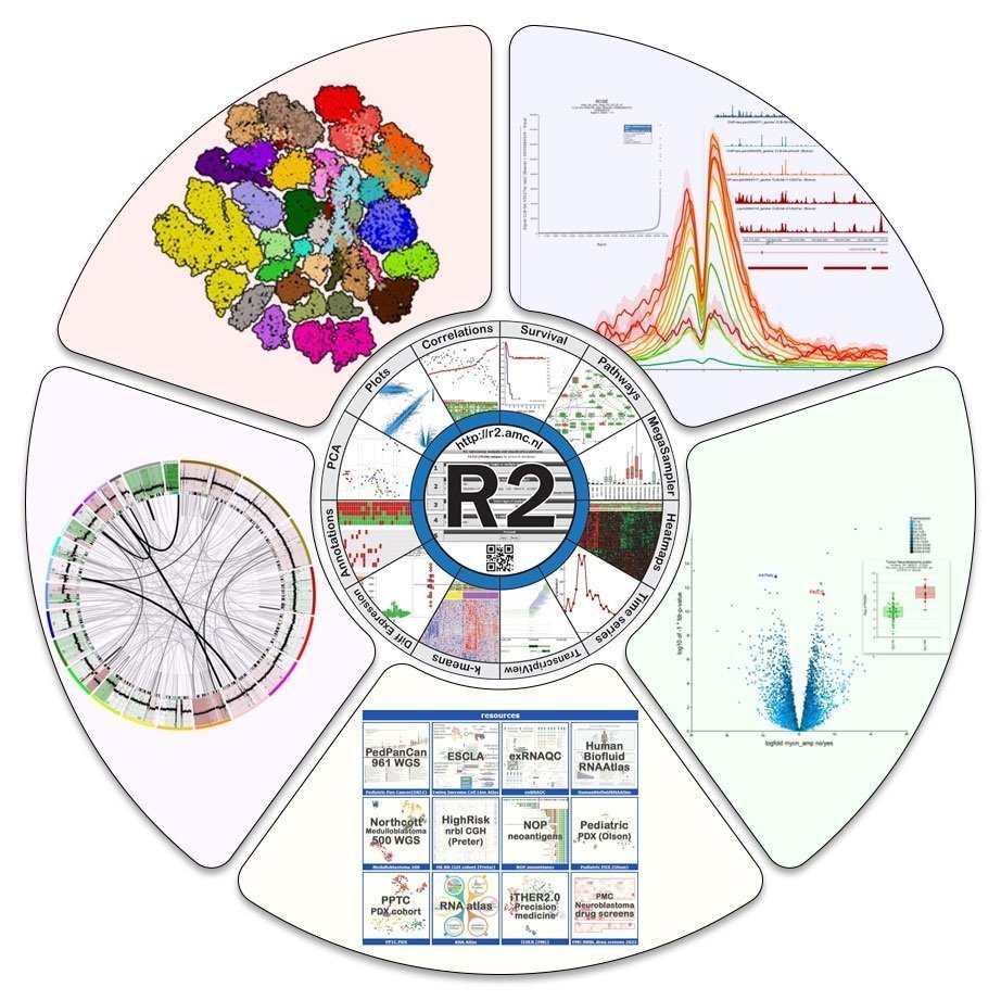 r2_platform's tweet image. Easily translate your research question into a great looking figure in the R2 genomics analysis and visualization platform r2platform.com

Created for biomedical researchers / #PhD  students 

#ScienceCommunication #ScienceForAll  

R2 is also great for #ScienceEducation