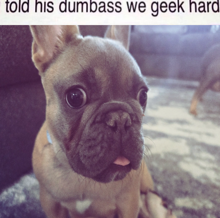 snickertinkle tweet media