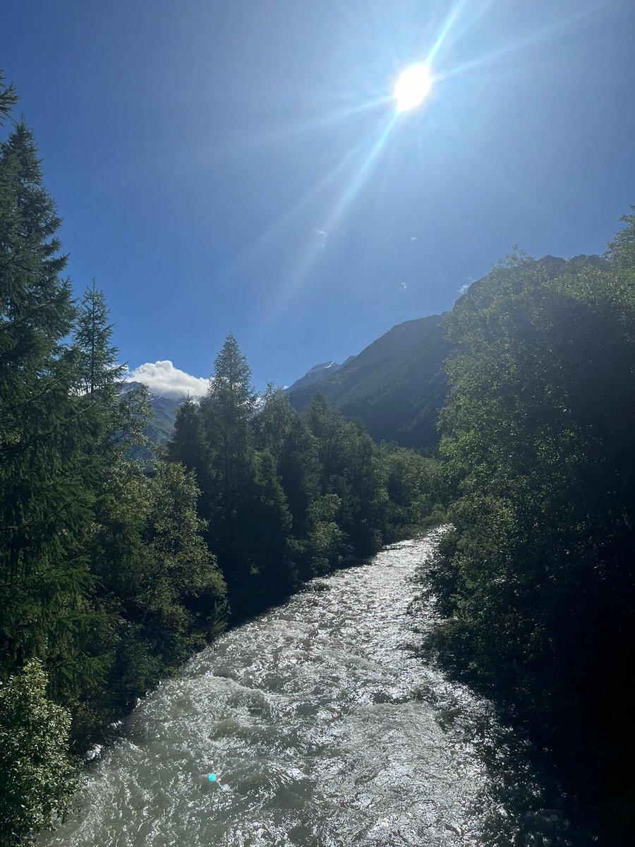 gschmidt1971's tweet image. Schönen guten Morgen, ich wünsche euch einen wunderschönen Donnerstag. ☕️🎶🌺🍃🐞🍀🚴‍♀🧸😊🙋‍♂️