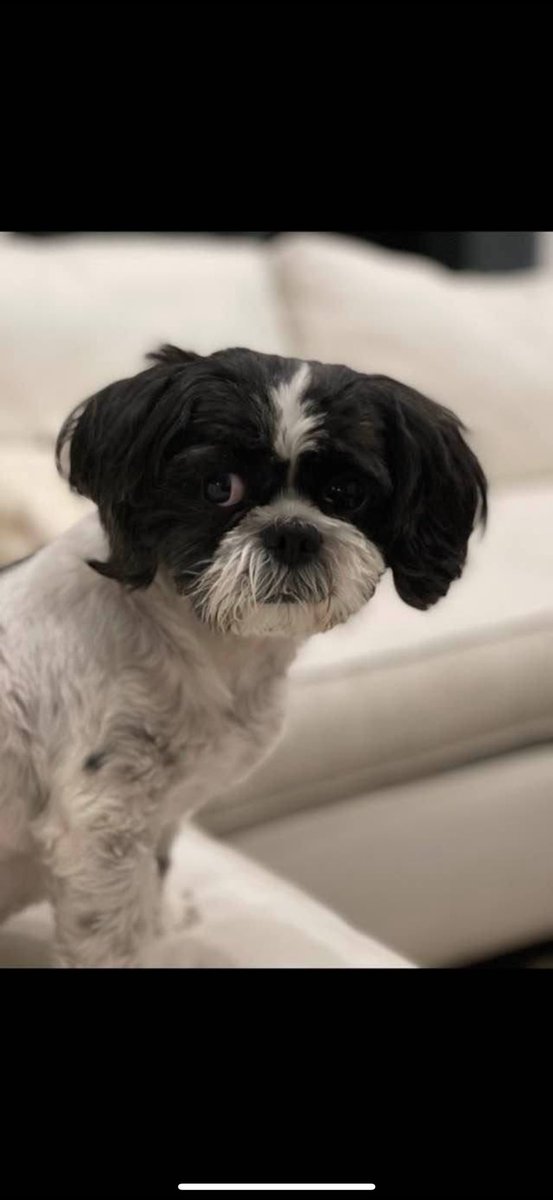 Nate Dixon tweet media