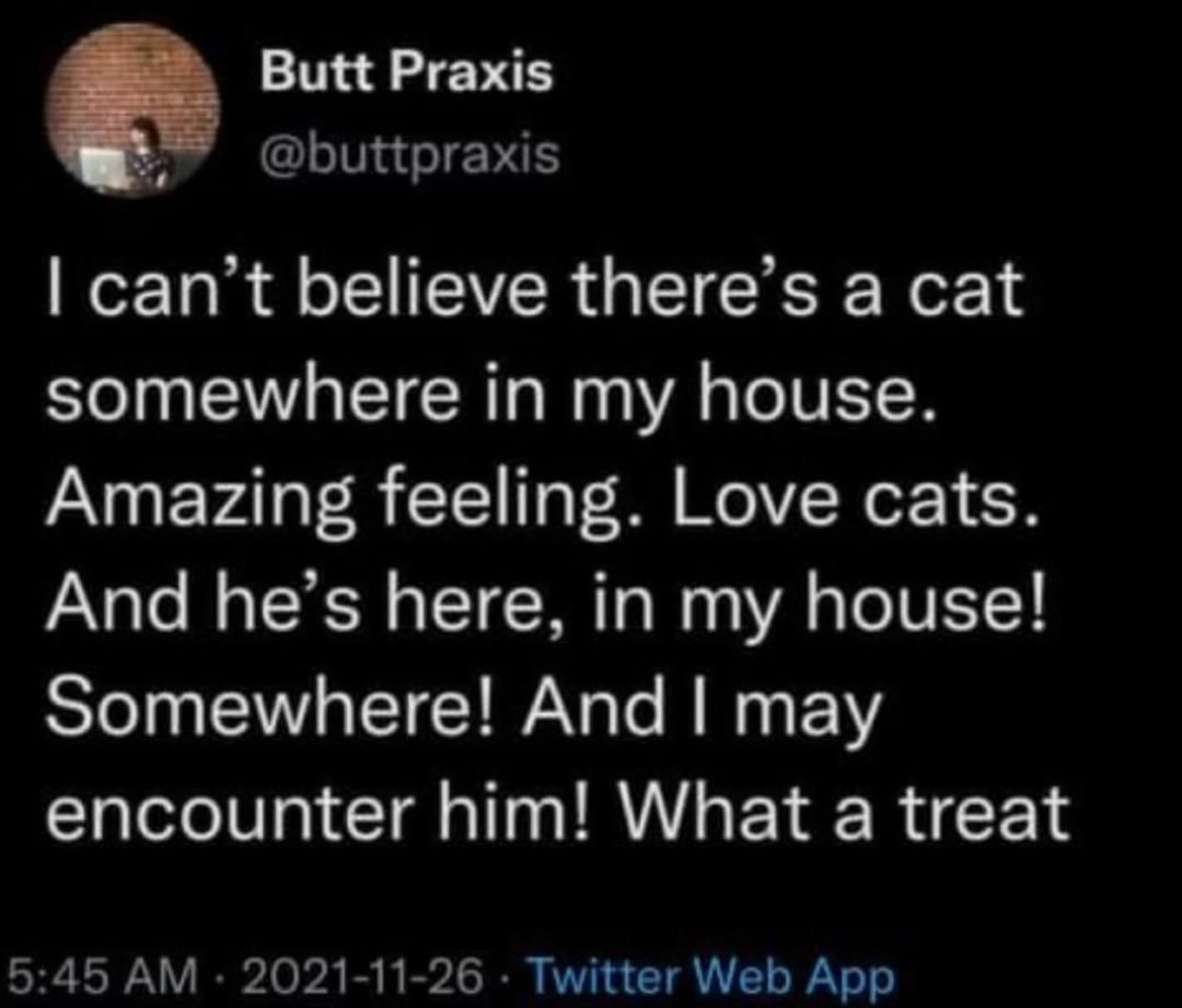 mikomlette's tweet image. louis about v!owen