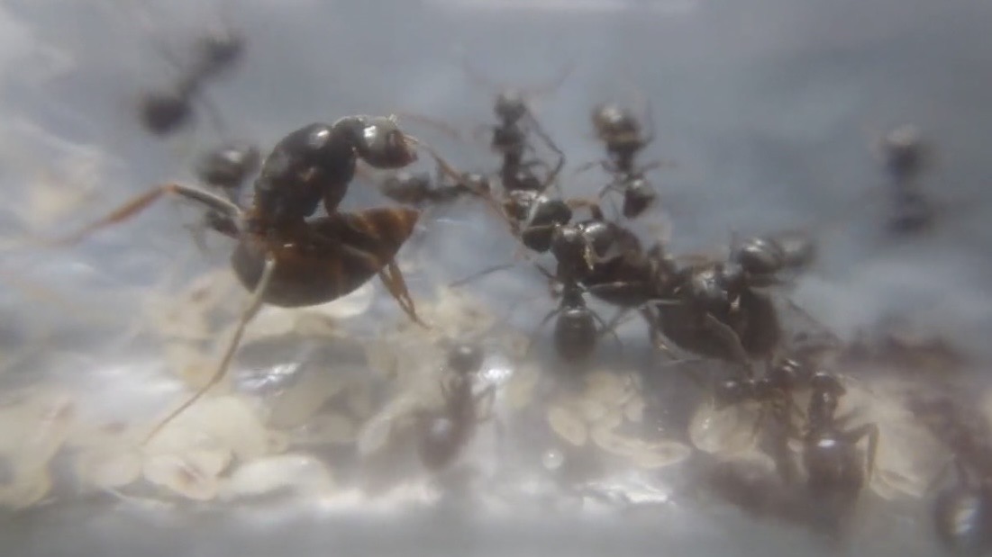 ありお手 (@c90UEGv3HUTi5oz) / Posts / X