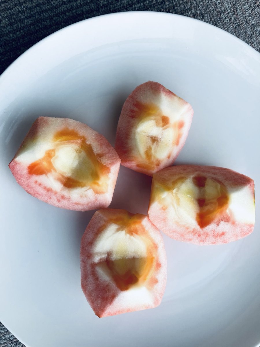 松之山温泉♨️ナステビュウ湯の山 tweet media