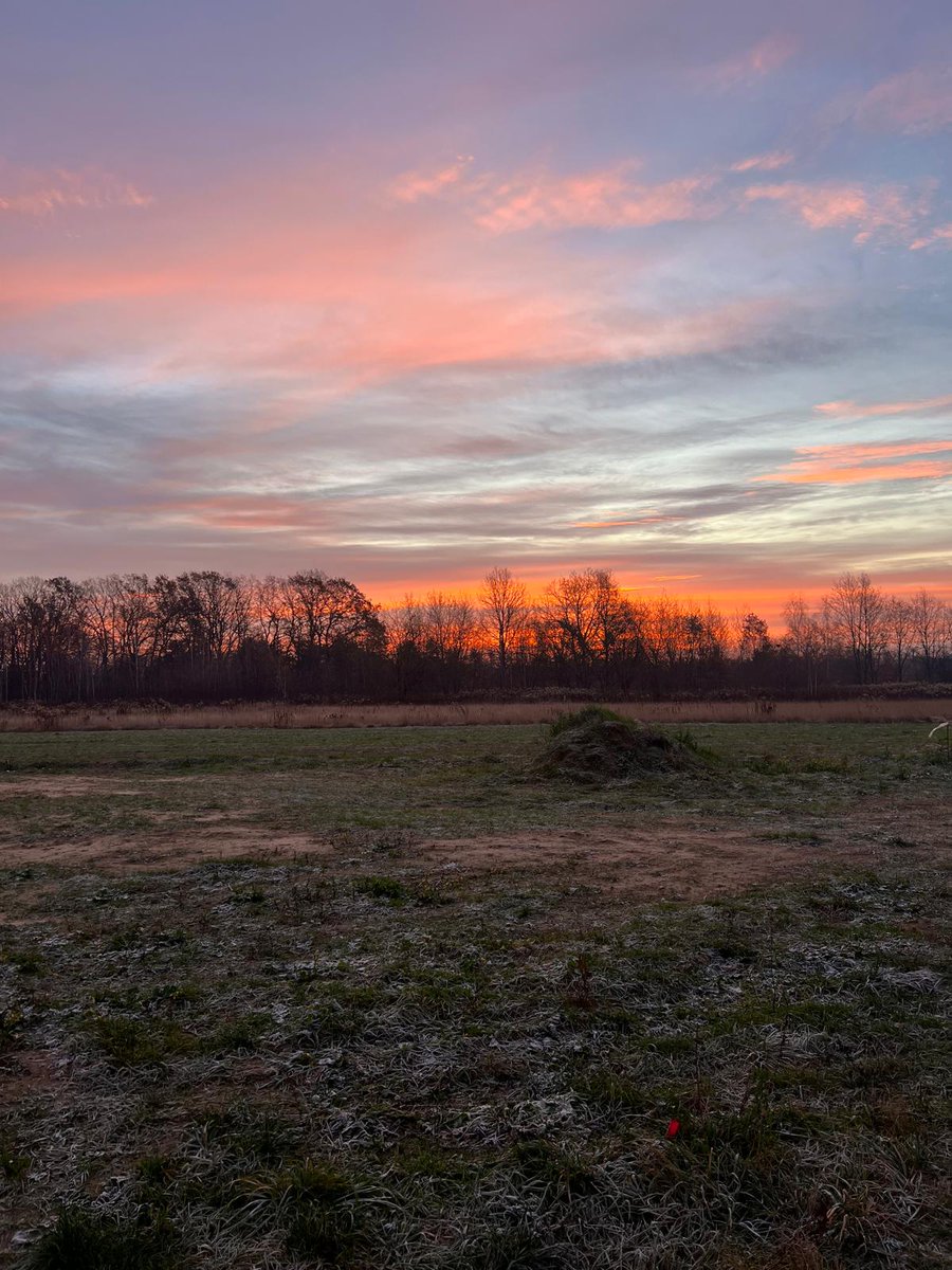 Roma 2420 (@2420roma) on Twitter photo 