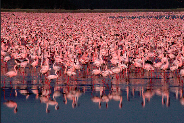 #AxelHappy tweet media