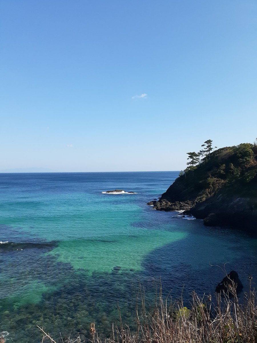 suriashiwalker's tweet photo. ペリーさえ来なければ侍の世は続いていたのに、と朝ドラばけばけのお爺さまは嘆きましたが ペリーは上陸し日本は開国となりました。
その後、🌴暖カイ海キレイ 🏄‍♂️砂サラサラ でも シモダ 江戸カラ遠スギ‥‥ということで 開国No.１の下田はいったんココ迄という事になりました。で下田は今 静かです。 https://t.co/UQHjlPxQaR