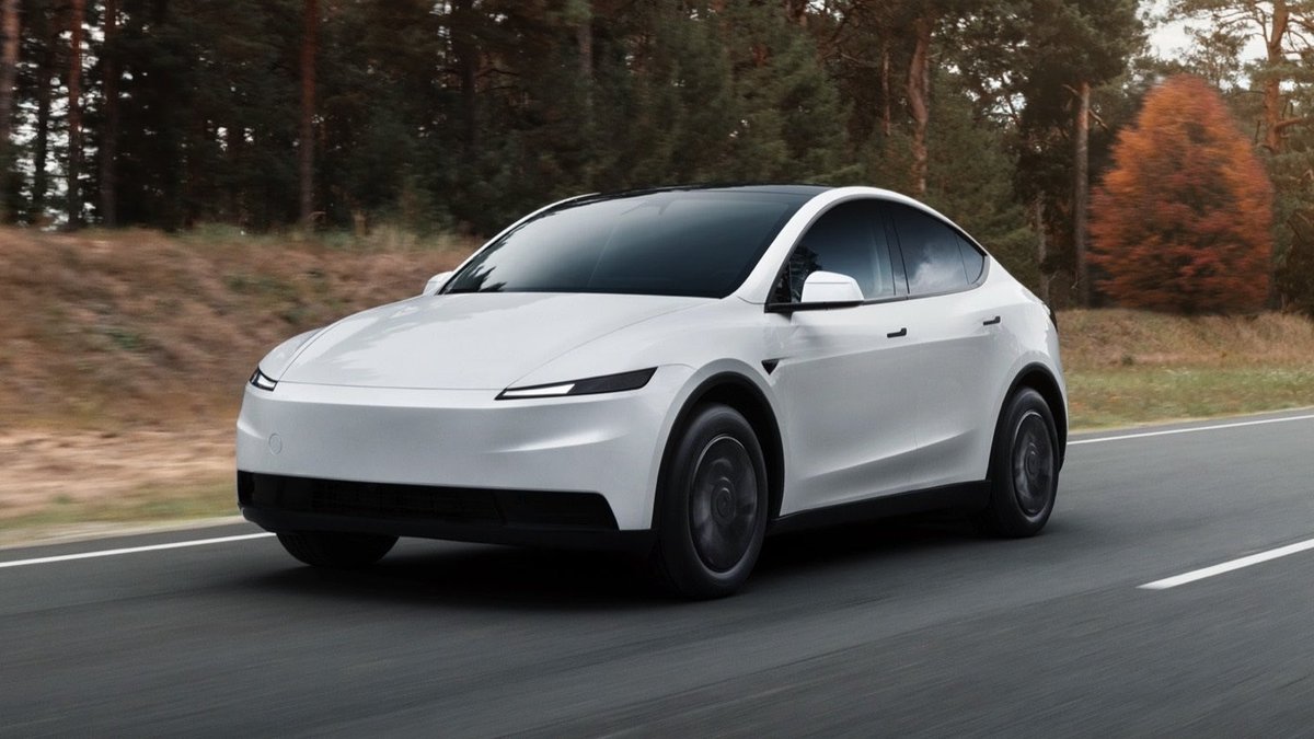 Taylan Özgür Dil tweet media