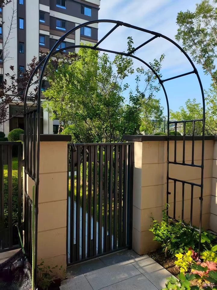 DawnLau19's tweet photo. 20 sets Garden Arch Trellis shipped to America😎

DM to get a catalog, price list!

#GardenArch #GardenTrellis #ClimbingPlants #RoseArch #GardenDesign #OutdoorDecor #GardenGoals #BackyardIdeas #GardenInspiration #GrowYourOwn #dawnlau #gardensupply #germany #poland #America https://t.co/XyAQuQ851B
